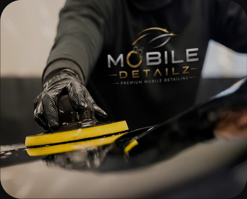 Why choose us?